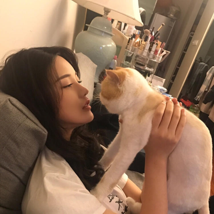 清水明 - 猪蜜蜜电视剧大全在线观看11 - 线上视频